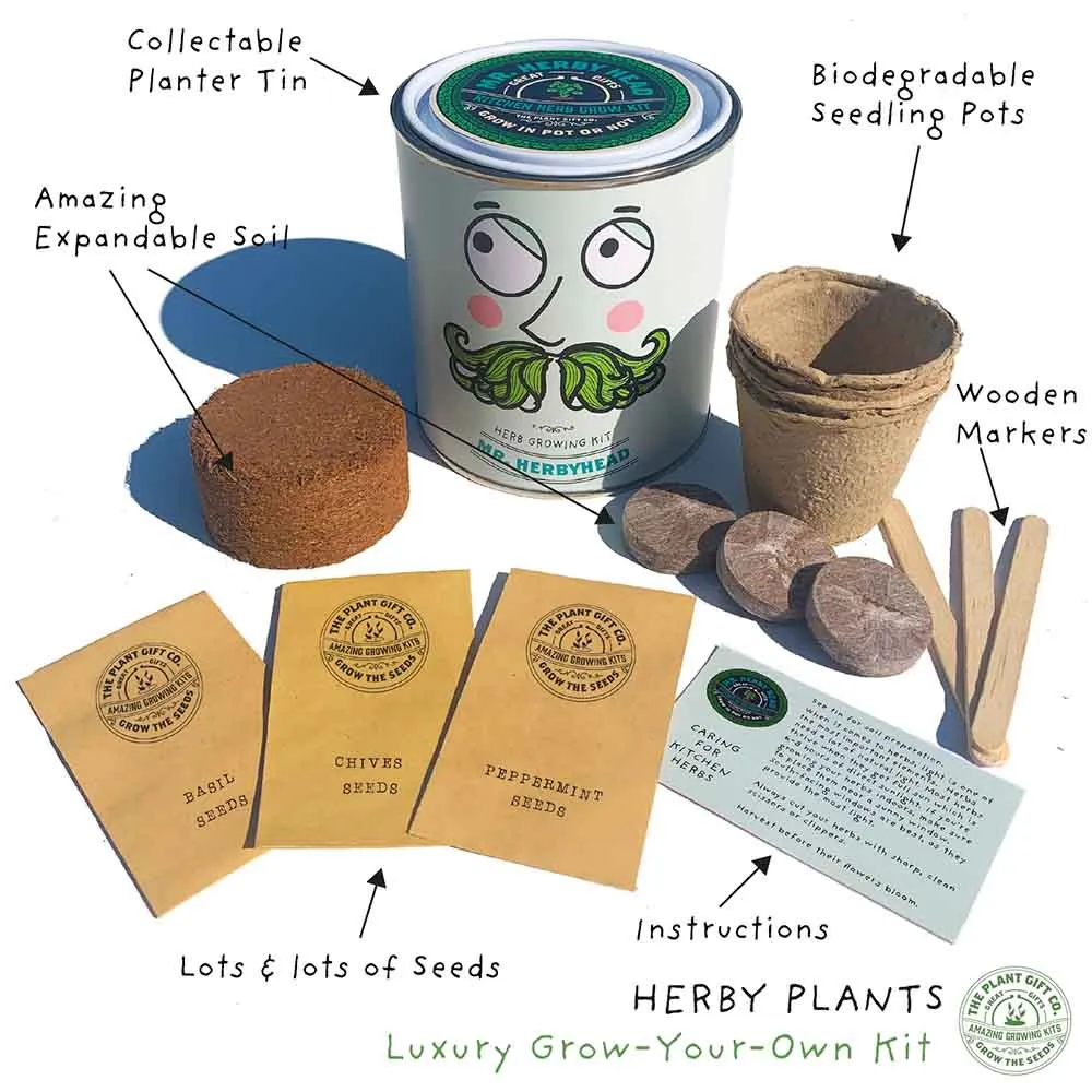 Mr Herbyhead Herb Growing Kit by The Plant Gift Co.