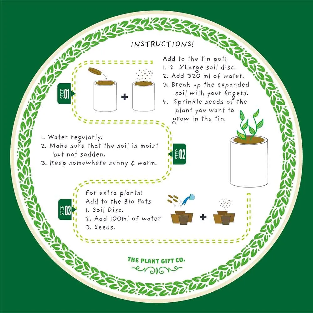 Mr Herbyhead Herb Growing Kit by The Plant Gift Co.